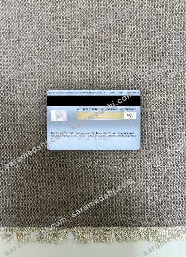 Netherlands (Holland) Crawford Technologies Bank visa electron card photolook back